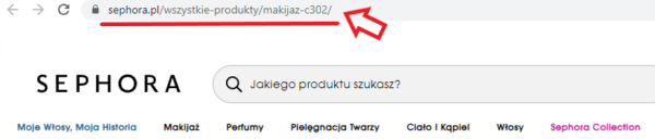 Prawidłowy adres URL